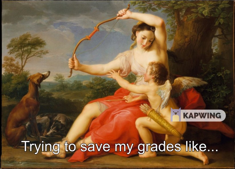 final_5c0a4d77392956001299f8dd